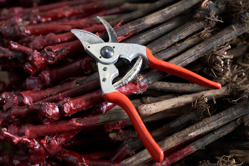 FELCO 14 Ergo Small Right- Handed Pruning Shear - Image 4