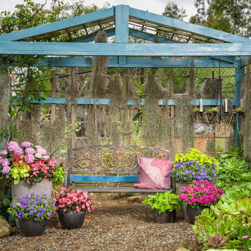 Rockapulco® Purple Double Impatiens | Proven Winners® - Image 5